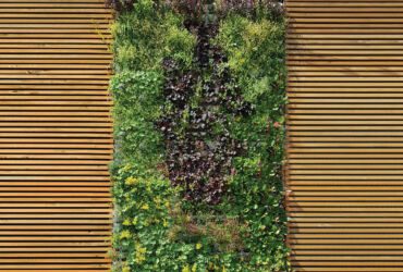 External green wall.