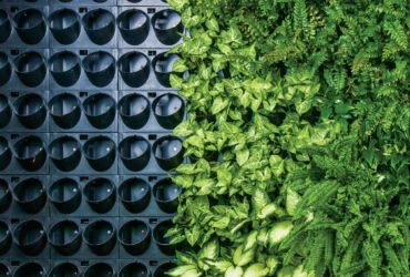 Green wall installation against a pixel background without plants.