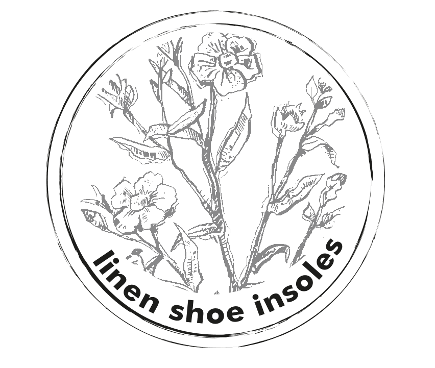 logo nosocks