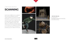 Detailed scope of services and competencies