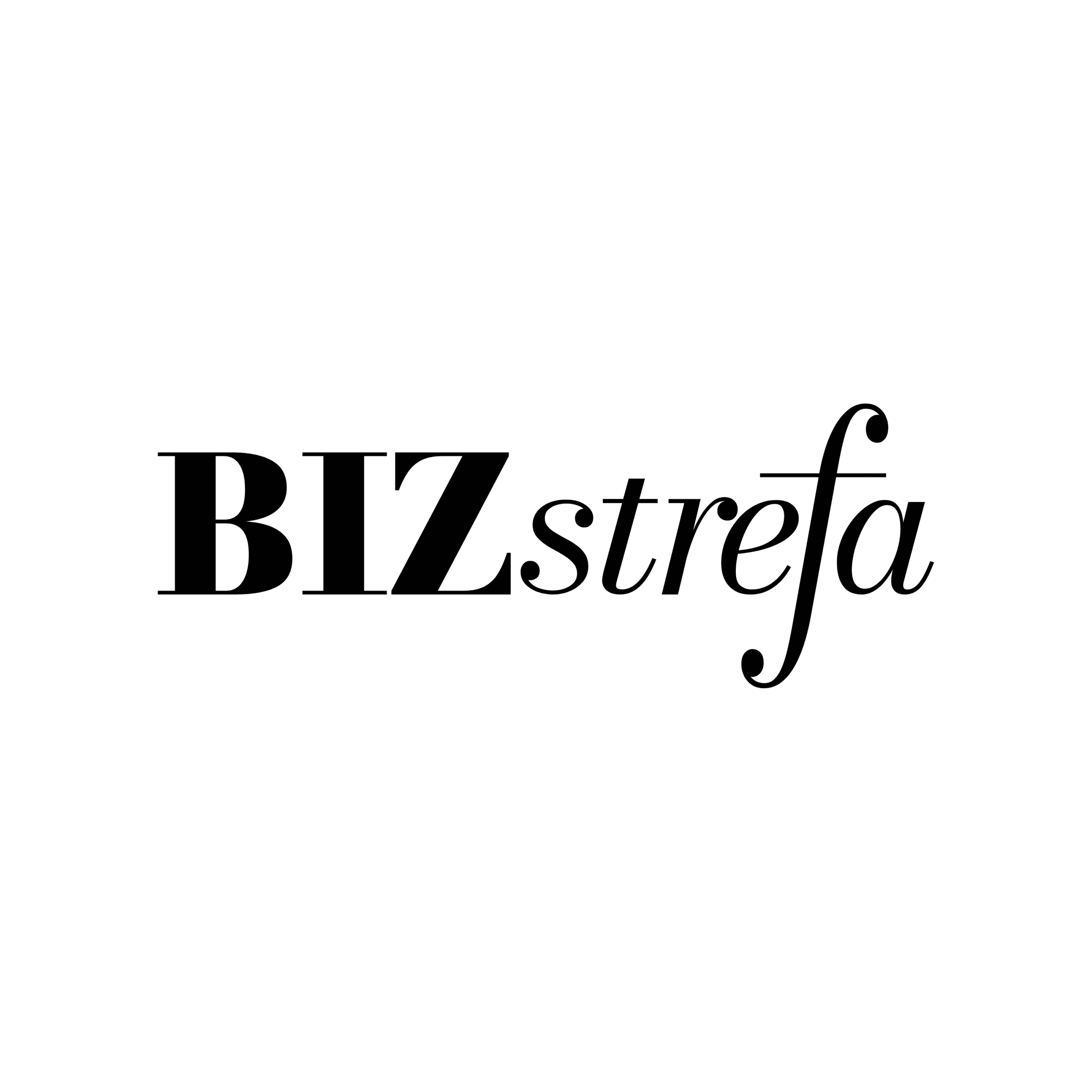bizstrefa logo