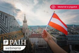 widok na dachy budynkow i flaga Austrii