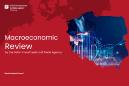 macroeconomic review