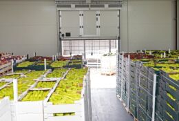 kartony z żywnością przygotowane do wywozu z magazynu