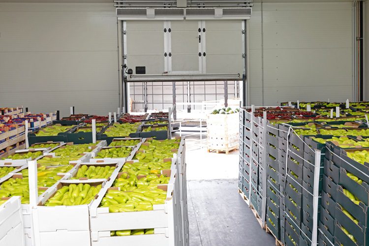 kartony z żywnością przygotowane do wywozu z magazynu