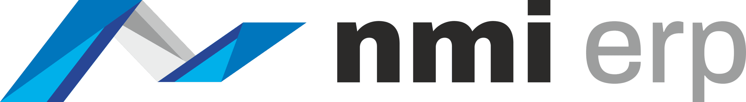 nmierp logo